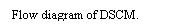 Text Box: Flow diagram of DSCM.
